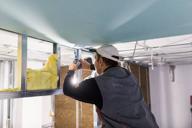 Best Residential Insulation in Middleburg, FL