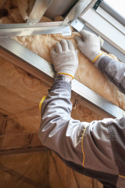 Best Blown-in Insulation in Middleburg, FL