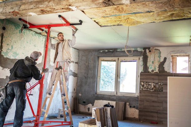 Best DIY Insulation Kits and Guidance in Middleburg, FL